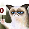 grumpy cat